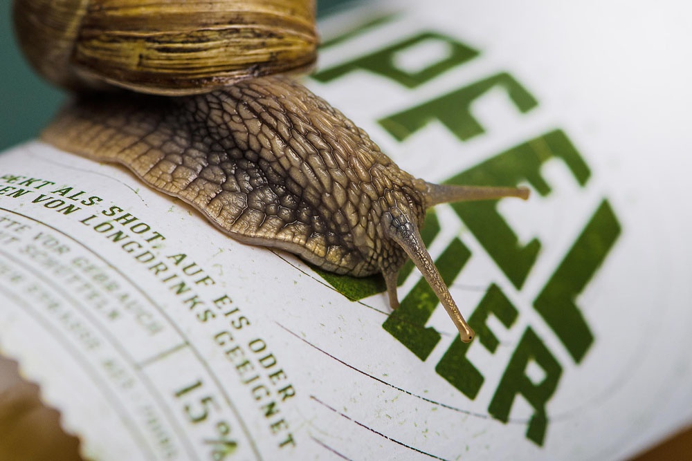 品牌包裝形象設(shè)計(jì) 品牌包裝形象設(shè)計(jì)