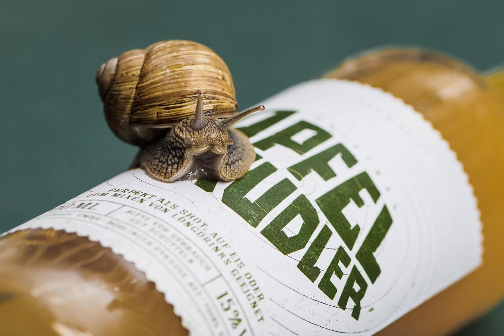 高端品牌logo設(shè)計(jì) 高端品牌logo設(shè)計(jì)